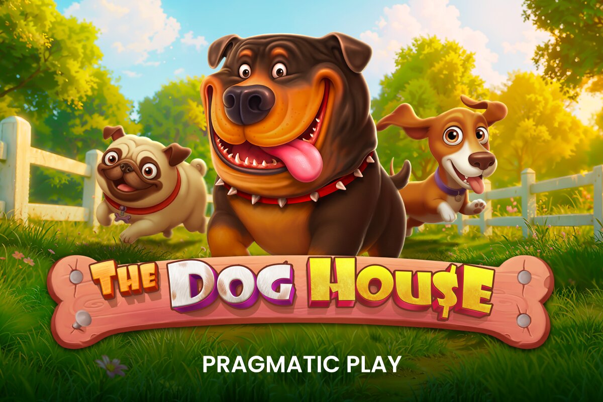 Dog House